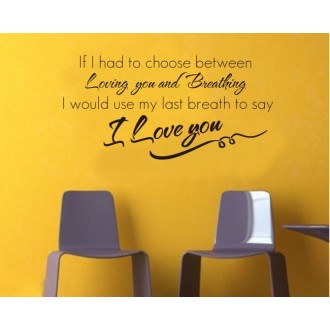 I Love You Quote Wall Decal
